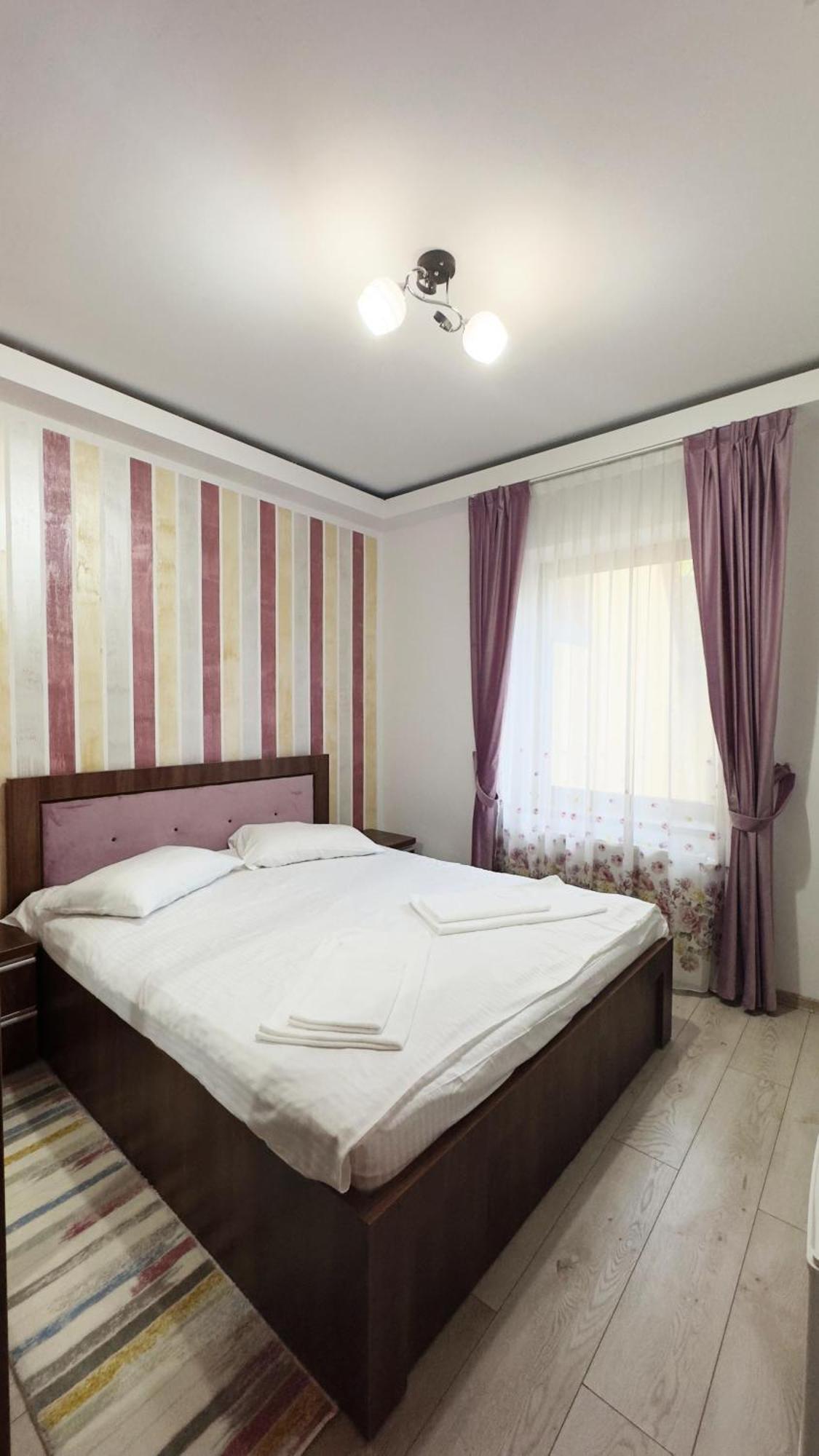 Carpathian Newstar Guest house Sibiu