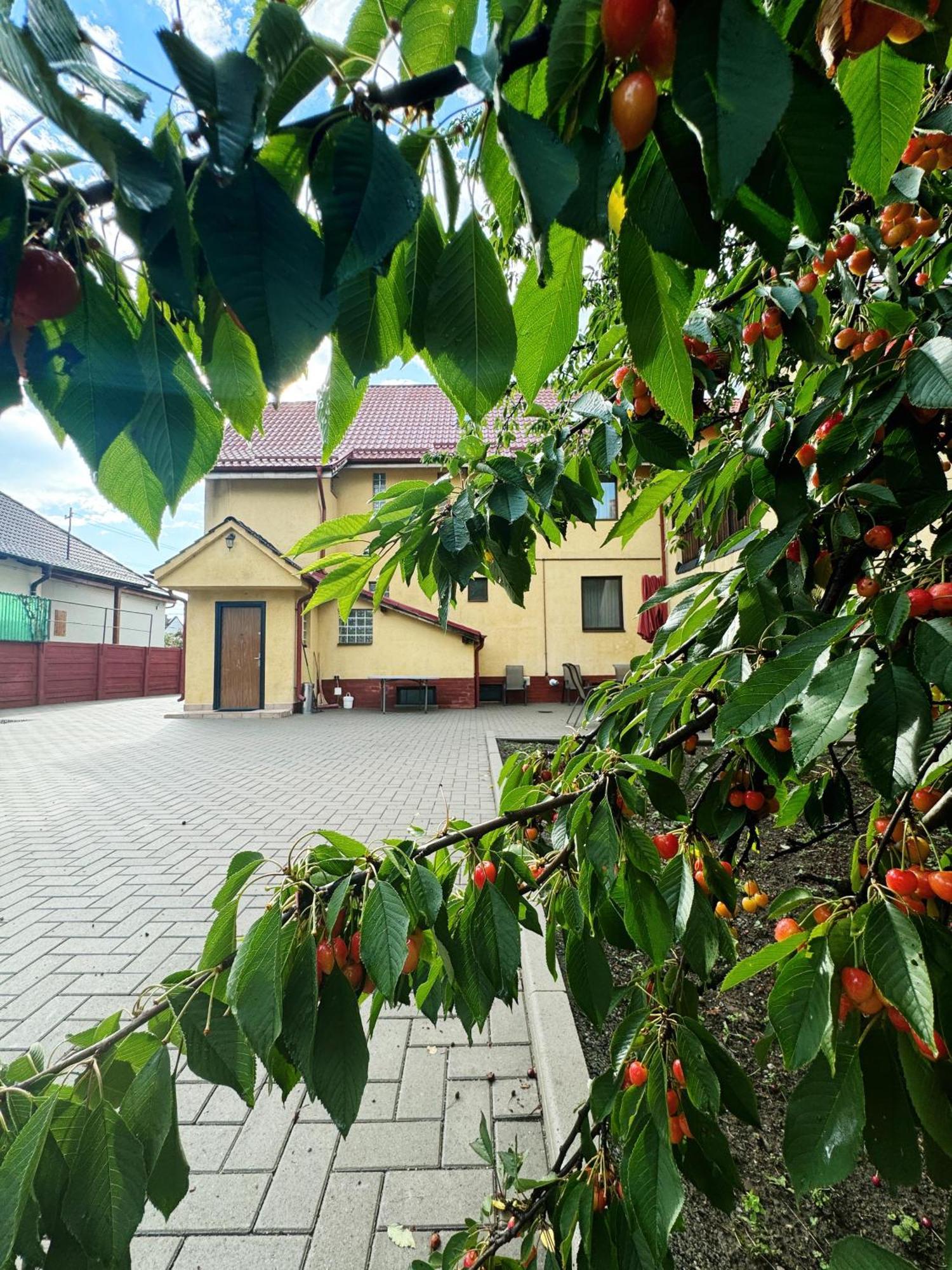 Carpathian Newstar Sibiu