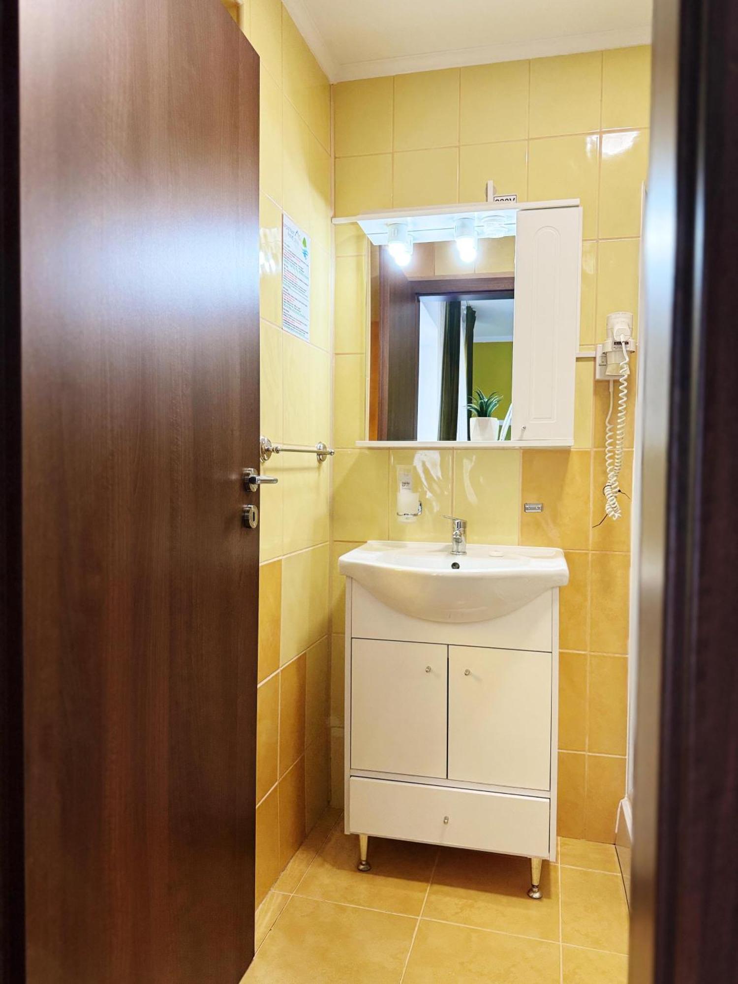 Guest house Carpathian Newstar Sibiu
