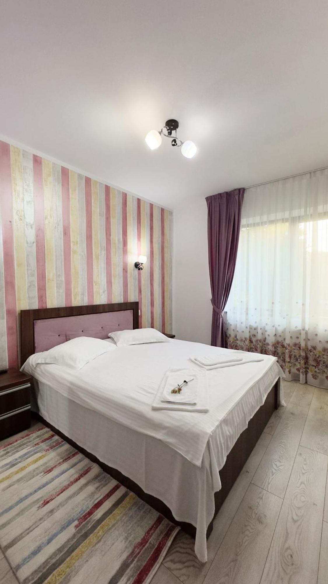 Carpathian Newstar * Sibiu