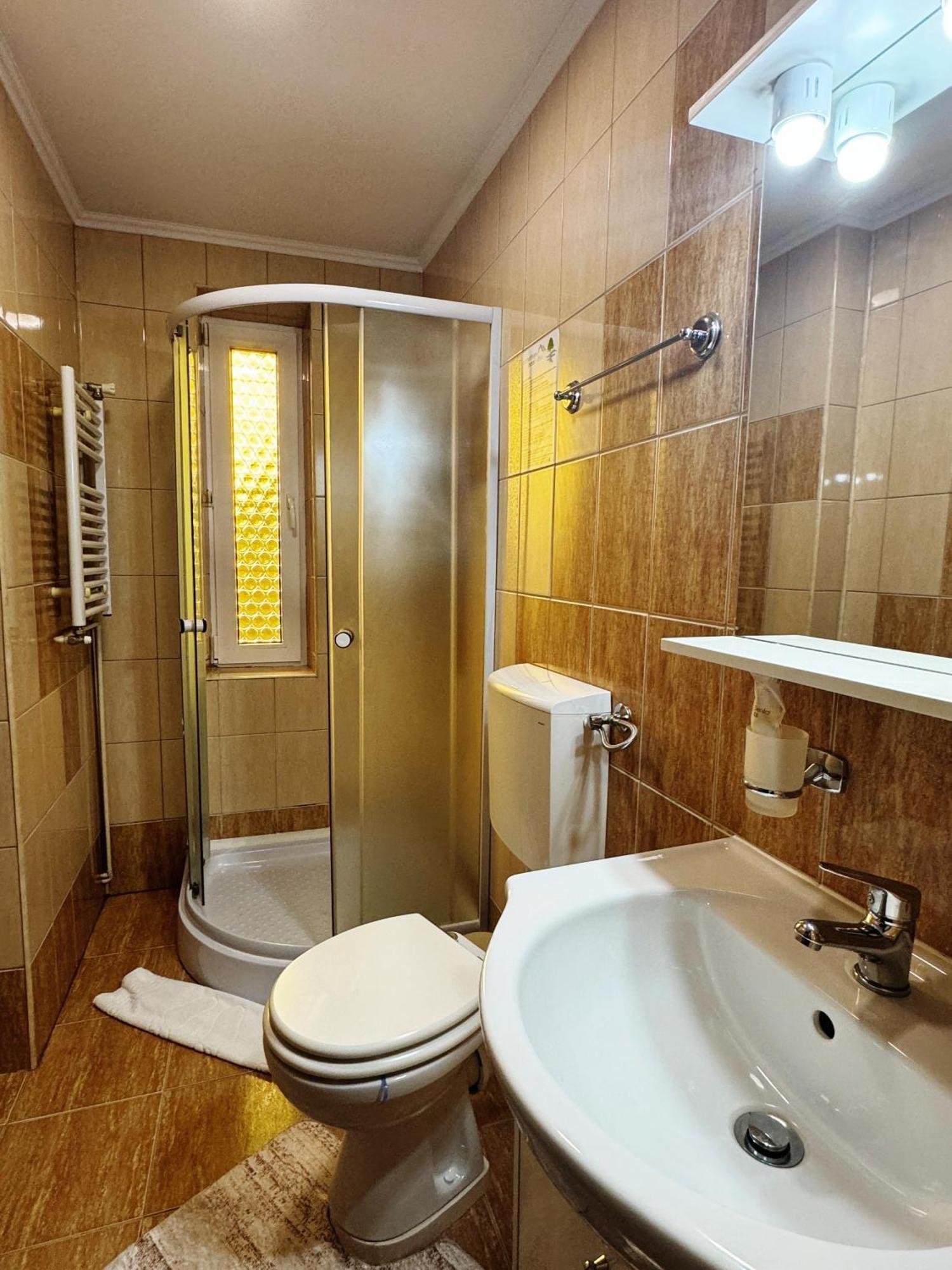 Guest house Carpathian Newstar Sibiu